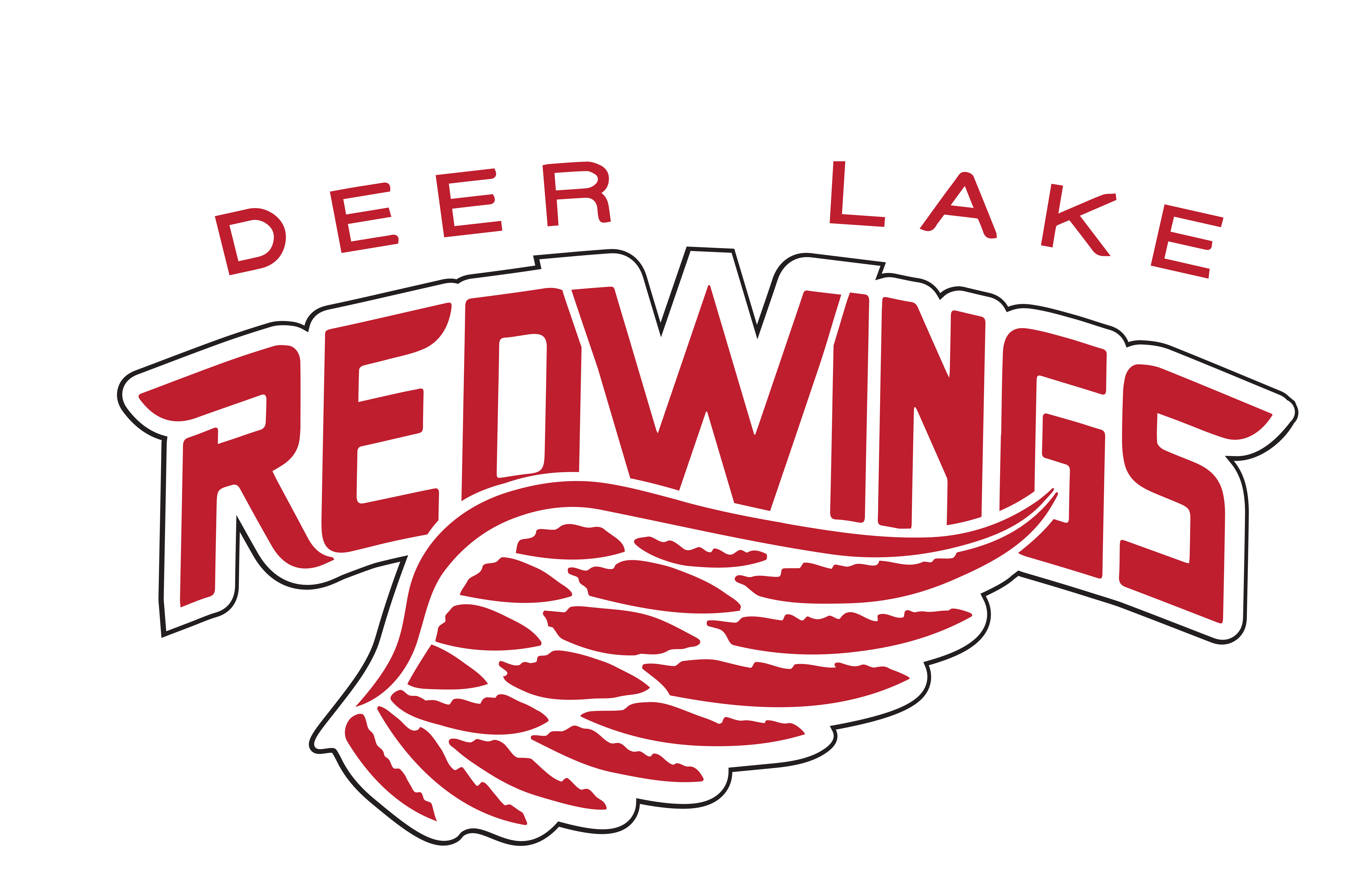 Deer Lake Minor Hockey Association